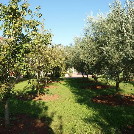 Apartamento Brig